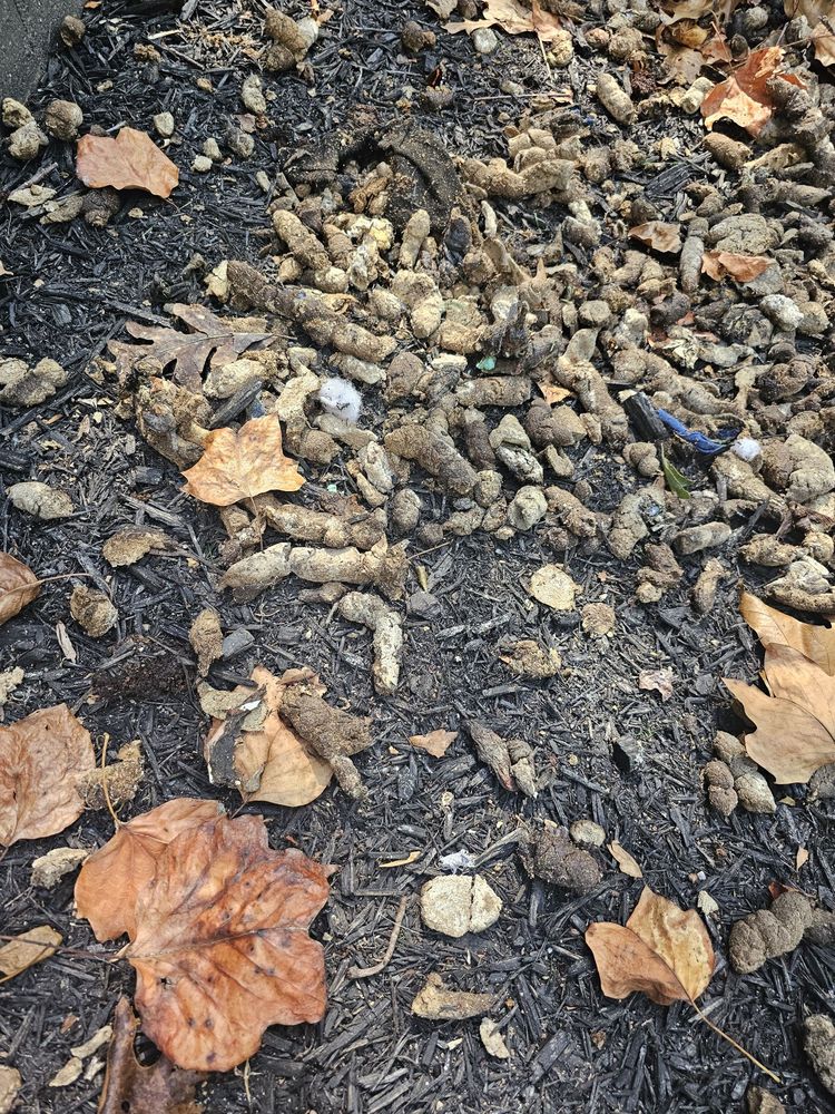 Madison Landing at Research Park - property management company in Madison, AL