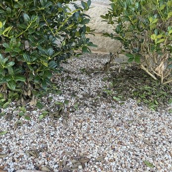 Trinity River Lawn Care & Landscaping - Landscaping Near Me - Aledo, Texas