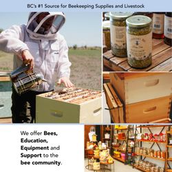 Urban Bee Supplies and Education