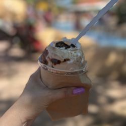 user provided ZooTampa at Lowry Park photo