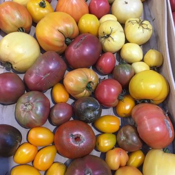 Marché des Capucins - Farmers Market Near Me - Bordeaux, 33 Marché des Capucins - Farmers Market Near Me - Bordeaux, 33
