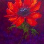 Photo of Galerie Tatiana Tournemine