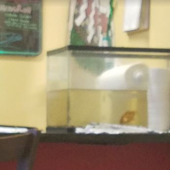 Bamboo House - Goldfish at the bar in need of filtration and a tank clean. - Sushi Bars Near Me - Cincinnati, Ohio Bamboo House - Goldfish at the bar in need of filtration and a tank clean. - Sushi Bars Near Me - Cincinnati, Ohio