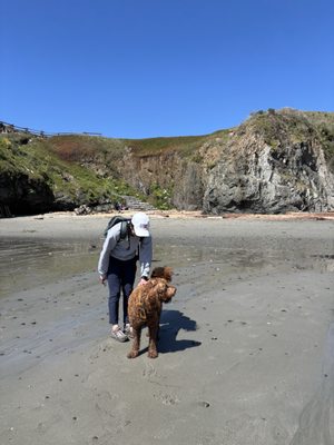 Mendocino Headlands State Park by null