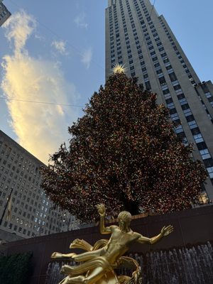 The Rink At Rockefeller Center by null