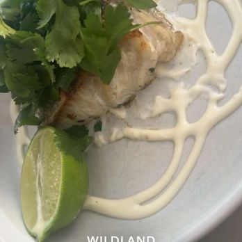 Wildland - Sea bass was pretty good, probably the best dish of the night - Breakfast & Brunch Near Me - Carlsbad, California Wildland - Sea bass was pretty good, probably the best dish of the night - Breakfast & Brunch Near Me - Carlsbad, California