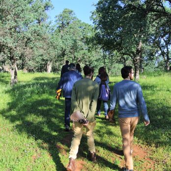 West Coast Falconry - Specialty Schools Near Me - Marysville, California West Coast Falconry - Specialty Schools Near Me - Marysville, California