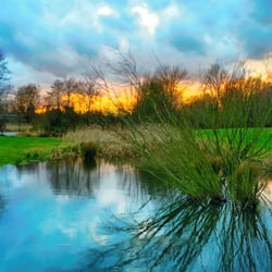 Stellinger Schweiz - Sonnenuntergang am Teich