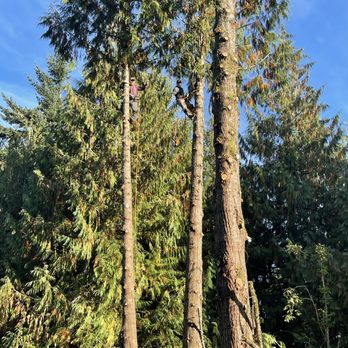 1. Westwood Tree & Landscape