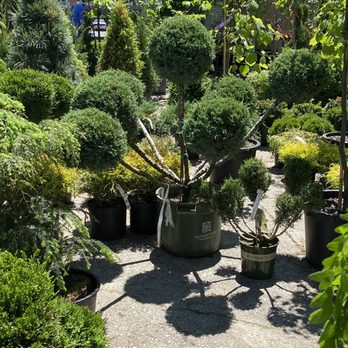 Oakland Nursery - Weird - Nurseries & Gardening Near Me - Dublin, Ohio