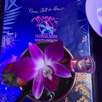 Mango's Tropical Cafe - Dance Clubs Near Me - Miami Beach, Florida Mango's Tropical Cafe - Dance Clubs Near Me - Miami Beach, Florida