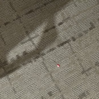 Towneplace Suites By Marriott - Fingernail/acrylic nail on carpet floor. - Hotels Near Me - Flowood, Mississippi
