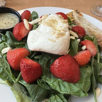 Terrace Cafe - Strawberry burrata salad - Cafes Near Me - Cincinnati, Ohio
