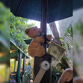 Vivian's Millennium Cafe - Up to no good with Auntie Jenn!  She's so much fun! #aunts #vivians #millenium #cafe #viviansmilleniumcafe #bourdibear #mortimerthebear - Breakfast & Brunch Near Me - Studio City, California
