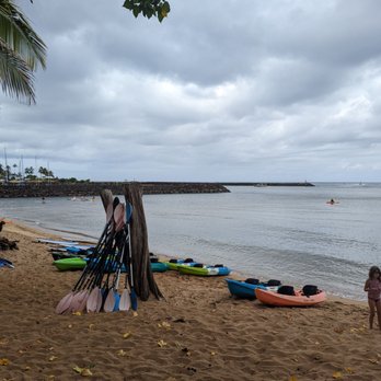 The Surf Bus - Kayaking - Tours Near Me - Honolulu, Hawaii The Surf Bus - Kayaking - Tours Near Me - Honolulu, Hawaii