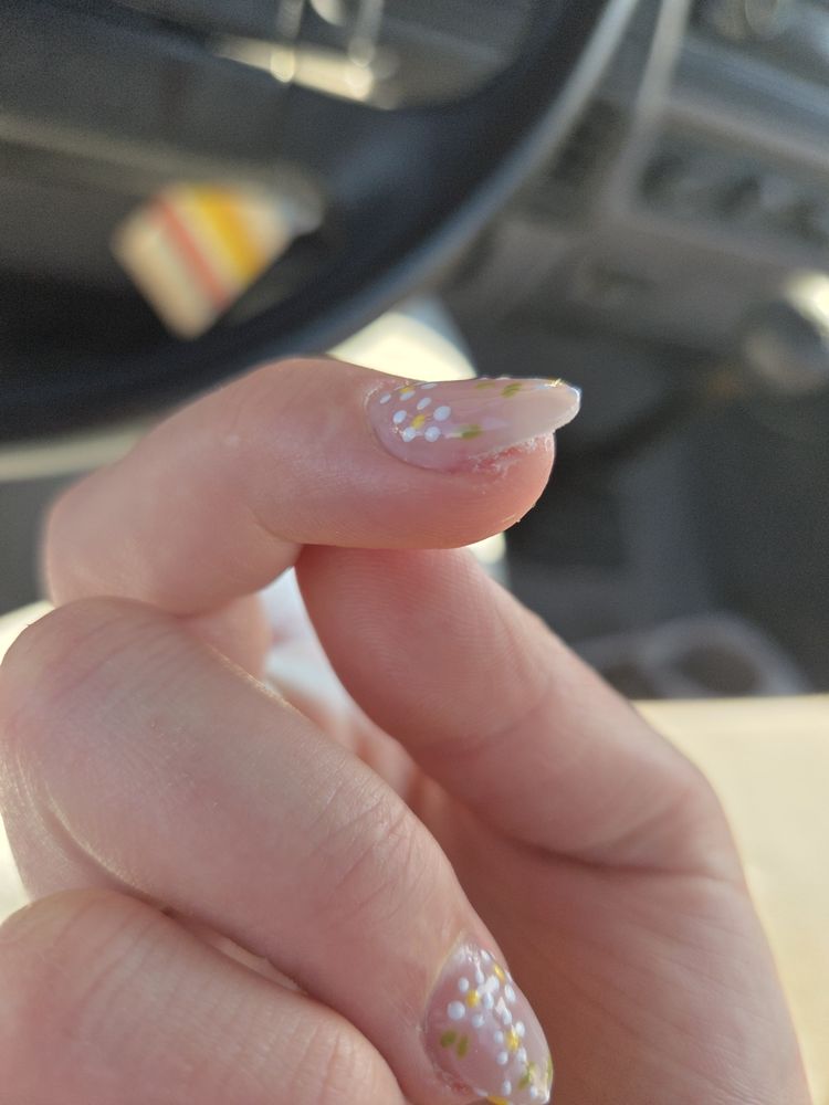 Bella Nails Logo
