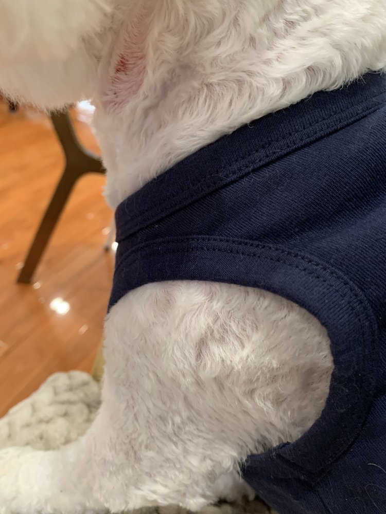 HAPPY PAWS & SPA Updated September 2024 12 Photos & 11 Reviews