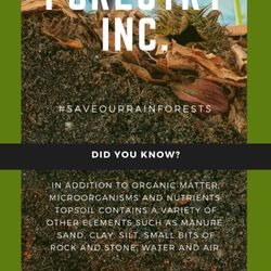 Forestry Inc