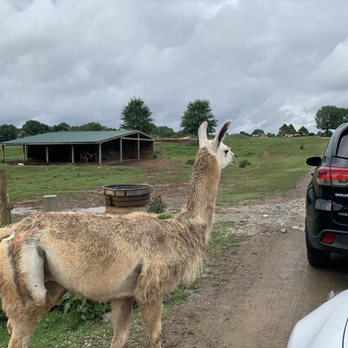 Nova Wild - Petting Zoos Near Me - Vienna, Virginia