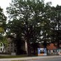 Photo of Friedenseiche Sachsenhausen, Oranienburg