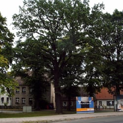 Friedenseiche Sachsenhausen, Oranienburg