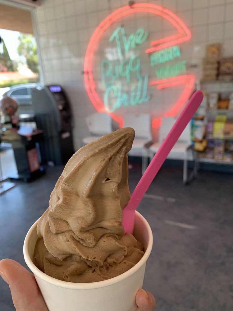 The Bigg Chill Frozen Yogurt