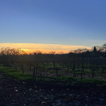Sunce Winery & Vineyards - a sunset over a vineyard - Wine Tasting Room Near Me - Santa Rosa, California