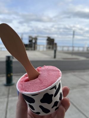 Photo of Elevated Ice Cream & Candy Shop - Port Townsend, WA, US. a hand holding a cup of ice cream