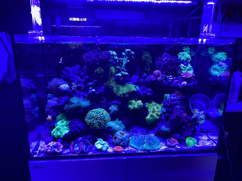 MANHATTAN AQUARIUMS Updated June 2024 148 Photos & 68 Reviews 43