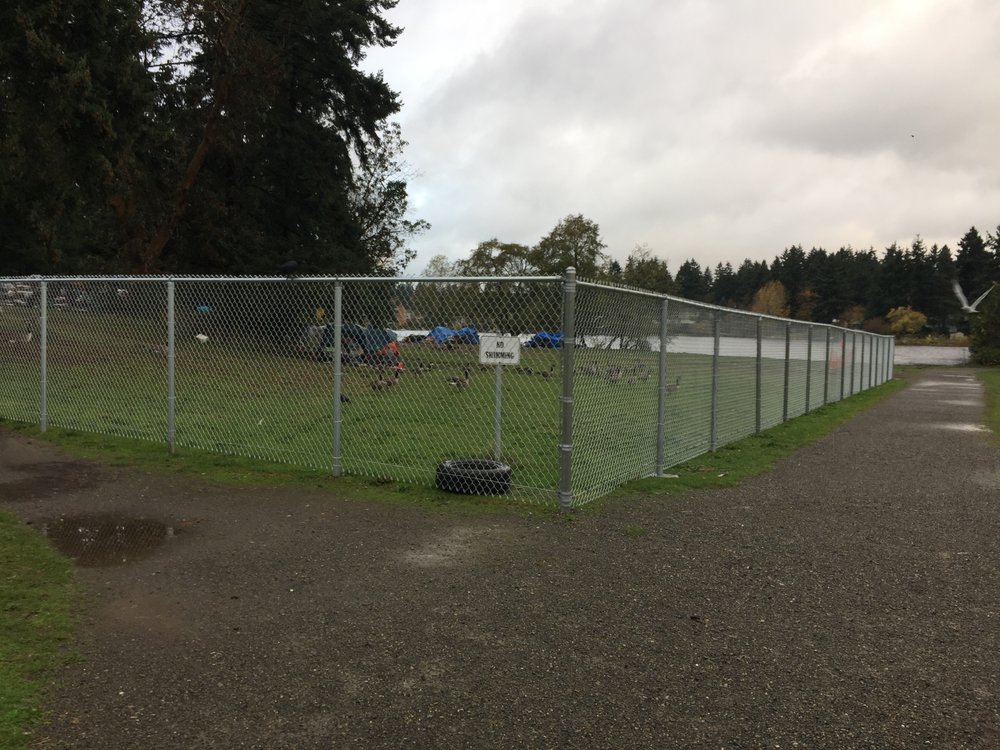 BITTER LAKE PLAYFIELD Updated September 2024 19 Photos 13035