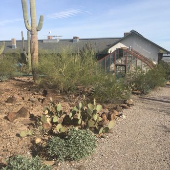 Tumamoc Hill - The research buildings 1/2 way up - Hiking Near Me - Tucson, Arizona