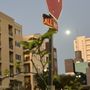 Photo of La Pensione Hotel