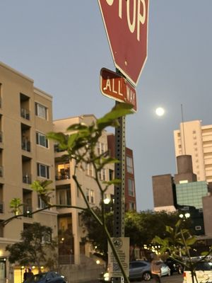 La Pensione Hotel by null