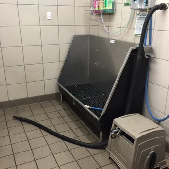 Pet Supplies Plus Streamwood Grooming - Self service wash for big dogs - Pet Stores Near Me - Streamwood, Illinois Pet Supplies Plus Streamwood Grooming - Self service wash for big dogs - Pet Stores Near Me - Streamwood, Illinois