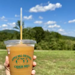 Apple Hill Orchard & Cider Mill - Cider slushie (large)