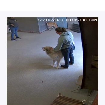City Bark Denver - Pet Groomers Near Me - Denver, Colorado City Bark Denver - Pet Groomers Near Me - Denver, Colorado