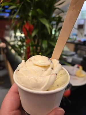 Marco Polo Italian Ice Cream by null