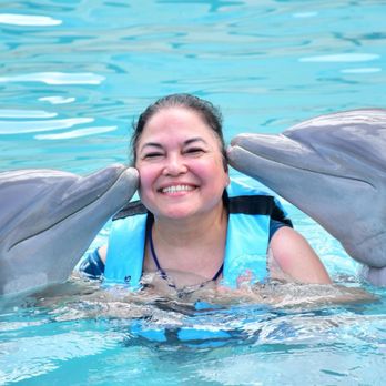 Dolphinaris - Arts & Entertainment Near Me - San Miguel de Cozumel, ROO