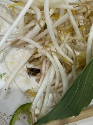 Phở Băng Restaurant by null