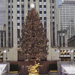 Daddy Al's - 2020 Rockefeller Center Christmas Tree from this store!