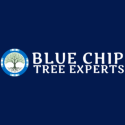 BLUE CHIP TREE EXPERTS - Updated June 2026 - Lake Hopatcong, New Jersey ...