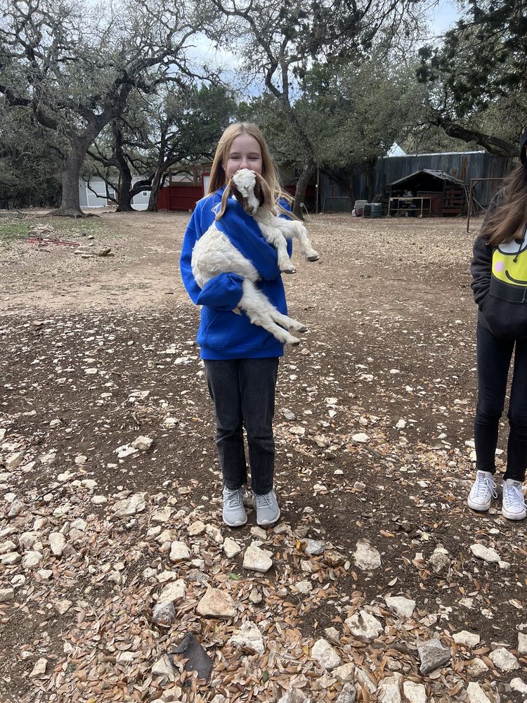 Home Away Ranch - equestrian in Boerne, TX