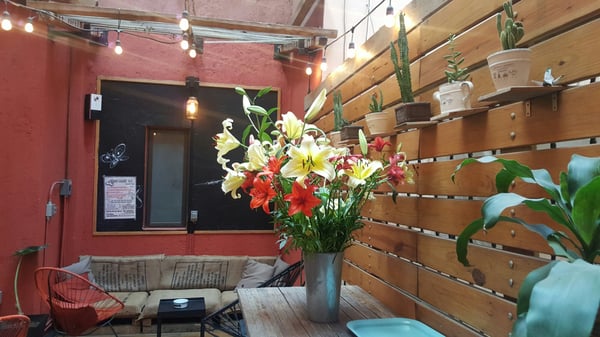 Hostel Suites DF by null