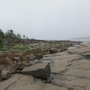 Photo of Rotsidan