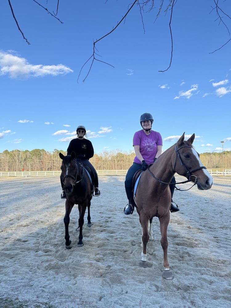 SunFire Equestrian - equestrian in Suffolk, VA