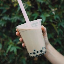 Boba Casa