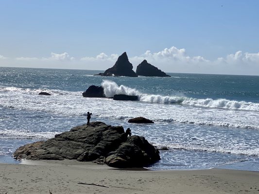 Lone Ranch Beach by null