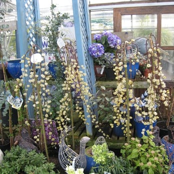 WALKERS NURSERIES - Updated September 2025 - 11 Photos - Mosham Road ...