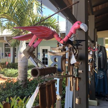 Loggerhead Marinelife Center - Community Service/Non-Profit Near Me - Juno Beach, Florida