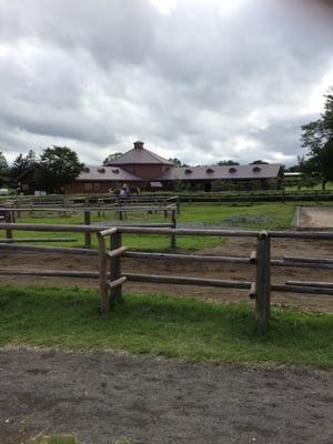 Koiwai Farm by null